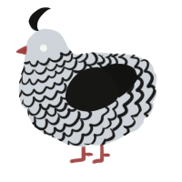 (unnamed), a mist and black chicken with a lace pattern