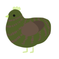 (unnamed), a olive and bark chicken with a bar pattern