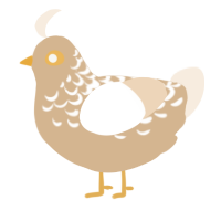 Vintage, a beige and cream chicken with a half-lace pattern