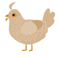 Milktea, a beige chicken with a lace pattern