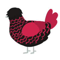 A sable and crimson chicken with a lace pattern