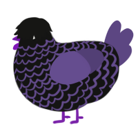 A black and overcast chicken with a lace pattern