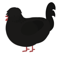 Not fully void, a sable and black chicken with a neck-speckle pattern