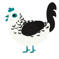 Tray, a white and sable chicken with a half-lace pattern