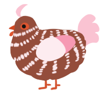 Fuji, a russet and rose chicken with a bar pattern