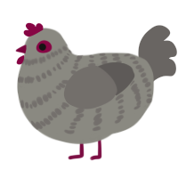 (unnamed), a ash and grey chicken with a bar pattern