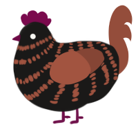 (unnamed), a sable and russet chicken with a bar pattern