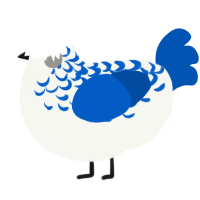 (unnamed), a white and ultramarine chicken with a half-lace pattern