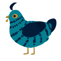 sea glass, a sea and tumblr chicken with a bar pattern