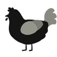 Sillouette, a black and ash chicken