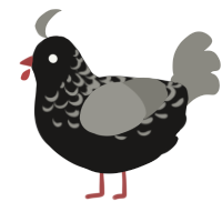 (unnamed), a sable and ash chicken with a half-lace pattern