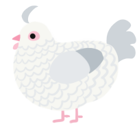 Pidgey, a white and mist chicken with a lace pattern