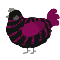 (unnamed), a black and wine chicken with a bar pattern