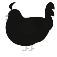 VOID TWO, a black chicken with a lace pattern