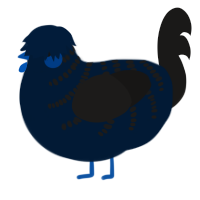 (unnamed), a tumblr and sable chicken with a half-bar pattern