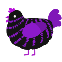 Andrea, a black and violet chicken with a bar pattern