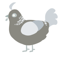 (unnamed), a ash and mist chicken with a neck-band pattern