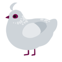 (unnamed), a mist chicken with a neck-speckle pattern