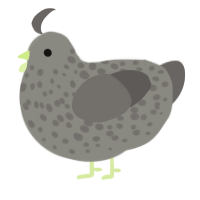 (unnamed), a ash and grey chicken with a speckle pattern