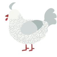 Yarrow, a white and silver chicken with a double-lace pattern