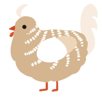 (unnamed), a beige and cream chicken with a half-bar pattern