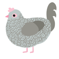 Coconut, a silver and ash chicken with a double-lace pattern