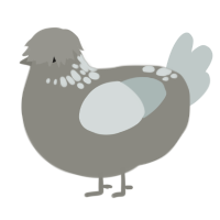 (unnamed), a ash and silver chicken with a neck-speckle pattern