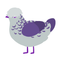 Orchid, a silver and overcast chicken with a half-lace pattern