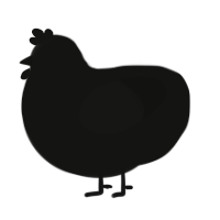 Evil Chok, a black chicken