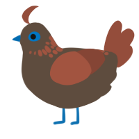 Goob, a beige and crimson chicken with a neck-speckle pattern