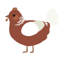 Hazelnut Latte, a russet and white chicken with a neck-band pattern