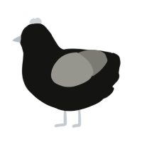 Bagel, a black and ash chicken