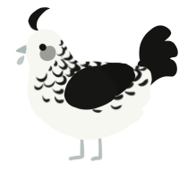 Razzle, a white and black chicken with a half-lace pattern