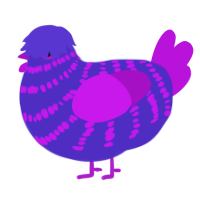 Raver, a indigo and amethyst chicken with a bar pattern