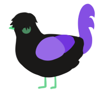 (unnamed), a sable and blurple chicken