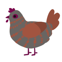 (unnamed), a grey and russet chicken with a bar pattern