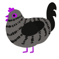 (unnamed), a grey and black chicken with a bar pattern