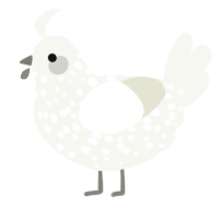 soft linens, a white chicken with a speckle pattern