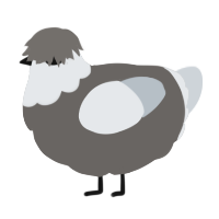 Bug eyed, a grey and mist chicken with a head pattern