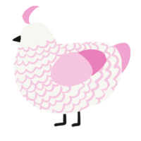 Isirac, a white and pink chicken with a lace pattern