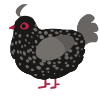 Pigeon, a sable and grey chicken with a speckle pattern