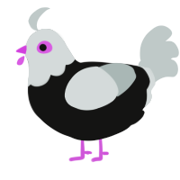 Haku, a black and silver chicken with a head pattern