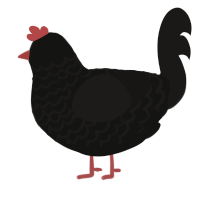 (unnamed), a black and sable chicken with a lace pattern