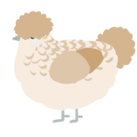 Steamed Milk, a cream and beige chicken with a half-lace pattern