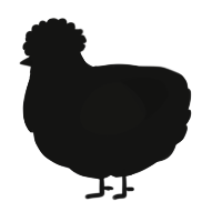 (unnamed), a black chicken