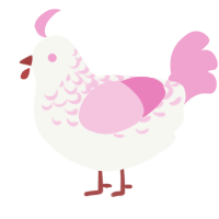 Harlu, a white and pink chicken with a half-lace pattern