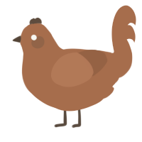 Chocolate, a brown chicken