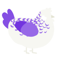 Duology, a white and blurple chicken with a half-lace pattern