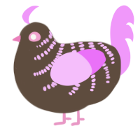 Sassy, a bark and lavender chicken with a half-bar pattern