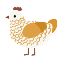 Golden Lace, a white and orange chicken with a lace pattern